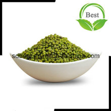 Size 3.0mm-4.0mm Green Mung Beans